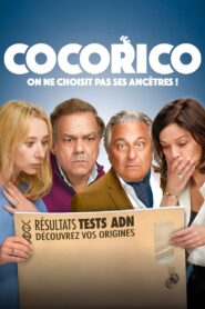 Test na teściów (2024) / Cocorico online cały film – oglądaj